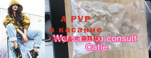 ПСИЛОЦИБИНОВЫЕ ГРИБЫ Гусиноозёрск