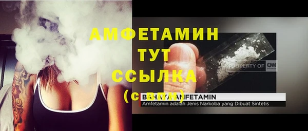 ПСИЛОЦИБИНОВЫЕ ГРИБЫ Гусиноозёрск