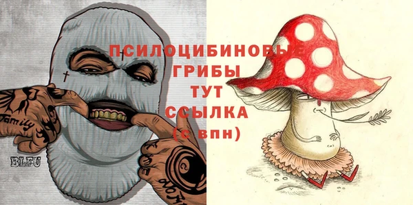 первитин Гусев