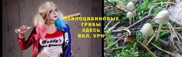 ПСИЛОЦИБИНОВЫЕ ГРИБЫ Гусиноозёрск