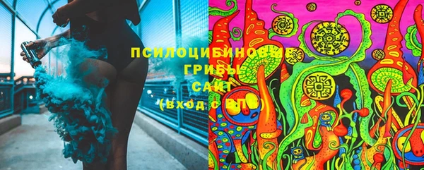 первитин Гусев