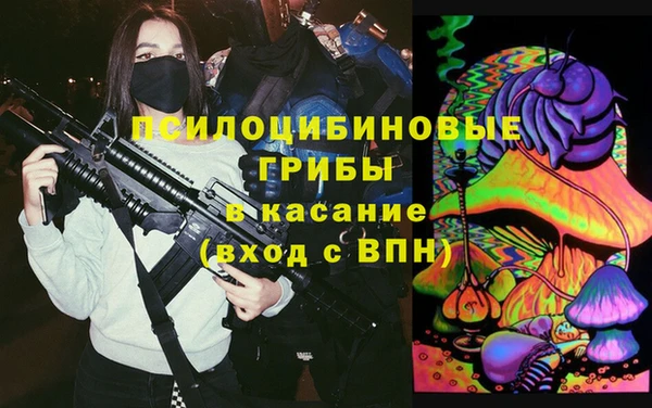 ПСИЛОЦИБИНОВЫЕ ГРИБЫ Гусиноозёрск